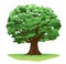 Magic oak tree isolated illustration