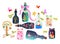 Magic Pantry. Fairy tale. Cute cartoon allegorical illustration. Bottles and cans of jam, pleasant memories and a real adventure.