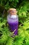 Magic Potion.Bottle with purple glittering liquid in green moss on blurred green forest background.Magic and fairy tales