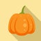 Magic pumpkin icon, flat style