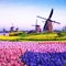 Magic spring landscape with flowers and patterns in aerial Mill Kinderdijk, Netherlands, Europe at sunset harmony, relaxation,