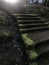 Magic stone steps. stone staircase in moss