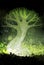 Magic surreal tree in the night. Grunge vector illustration. Suits for poster or background