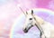 Magic unicorn in beautiful sky with rainbow and fluffy clouds. Fantasy world