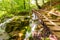 Magic waterfall in the deep forest at Croatia national park Plitvice. Fresh stream of water in peaceful place