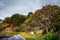 Magical austral forest in Tierra del Fuego National Park, Beagle