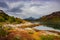 Magical austral Magellanic subpolar forests and turquoise lagoon