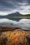 Magical austral Magellanic subpolar forests and turquoise lagoons in Tierra del Fuego National Park, Beagle Channel, Patagonia,