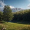 Magical and Blooming Tabor Stream Reserve at Springtime, Israel made with Generative AI