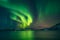 Magical boreal aurora illuminates the sky