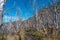 Magical colorful valley with austral dead forests, lagoons, glacial streams and high mountains in Torres del Paine National Park,