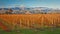 Magical countryside landscape surrounding town of Blenheim