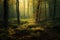 magical dark green forest in soft sunlight