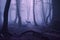 magical dark purple forest with misty fog and mystical creatures