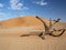 Magical dunes of Sossusvlei, Namibia