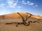 Magical dunes of Sossusvlei, Namibia