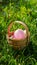 Magical Easter egg hunt with whimsical clues leading to hidden treasures