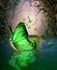 Magical Fairy Wildwood Water Craft Boat Butterfly Shape
