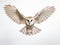 Magical Flight: Majestic Barn Owl Soaring Across a Pristine White Backdrop