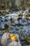 Magical Forest at Lake Hintersee with Creek Ramsauer Ache - HDR image. National Park Berchtesgadener Land, Germany