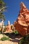 Magical hoodoos in Bryce Canyon National Park