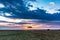 Magical Lone Trees Sunset Gazelle Antelope grazing grassland savannah in the Maasai Mara National Game Reserve park rift valley Na