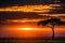 Magical Lone Trees Sunset Gazelle Antelope grazing grassland savannah in the Maasai Mara National Game Reserve park rift valley Na