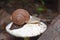 A magical miniature snail lying on the white mushroom