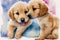 Magical Moments with Golden Retriever Pups