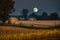 magical moonlit night with a harvest moon casting its glow on the fields