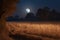 magical moonlit night with a harvest moon casting its glow on the fields