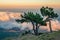 Magical mountain landscape with two lonely pines on the background of clouds