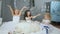 Magical new year, kids in white dresses with artificial snow at studio on winter photoshoot with pet