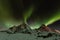Magical northern lights in Lofoten Islands, Norway. Aurora borealis