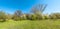 Magical panoramic view of deciduous forest in early Spring with blue sky, near Magdeburg, Germany