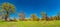 Magical panoramic view of deciduous forest in early Spring with blue sky, near Magdeburg, Germany