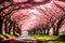 magical pathway covered with pink floral trees
