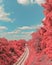 Magical pink nature next to the railway, with summer sky and clouds