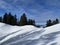 A magical play of light and shadow on a pure white snow cover in a mixed alpine forest, SchwÃ¤galp mountain pass