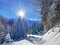 A magical play of light and shadow on a pure white snow cover in a mixed alpine forest, SchwÃ¤galp mountain pass - Switzerland