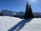 A magical play of sunlight and shadow during the alpine winter on the snowy slopes above the mountine resort of Arosa