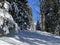 A magical play of sunlight and shadow during the alpine winter on the snowy slopes of the Churfirsten mountain range