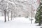 Magical scene of snow winter idyllic in urban city landscape
