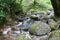 Magical Scenic Creek Flowing Through Mountain After Rain Storm