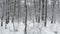 magical snowy park, tree trunks covered with snow during a snowfall, black tree trunks, no people