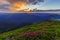 Magical summer dawn in the Carpathian mountains with blooming red rhododendron flowers. Picturesque summer sunset in the mountains