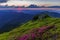 Magical summer dawn in the Carpathian mountains with blooming red rhododendron flowers. Picturesque summer sunset in the mountains