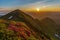 Magical summer dawn in the Carpathian mountains with blooming red rhododendron flowers. Picturesque summer sunset in the mountains