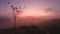 Magical sun rising at Ella Peak, Sri Lanka.