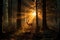 Magical sunset in the forest with the sun\\\'s rays penetrating through the trees